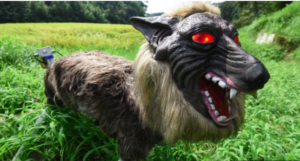 Cover photo for From Japan: An Alternative to Guard dogs