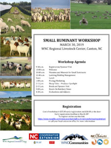 Cover photo for Small Ruminant Workshop