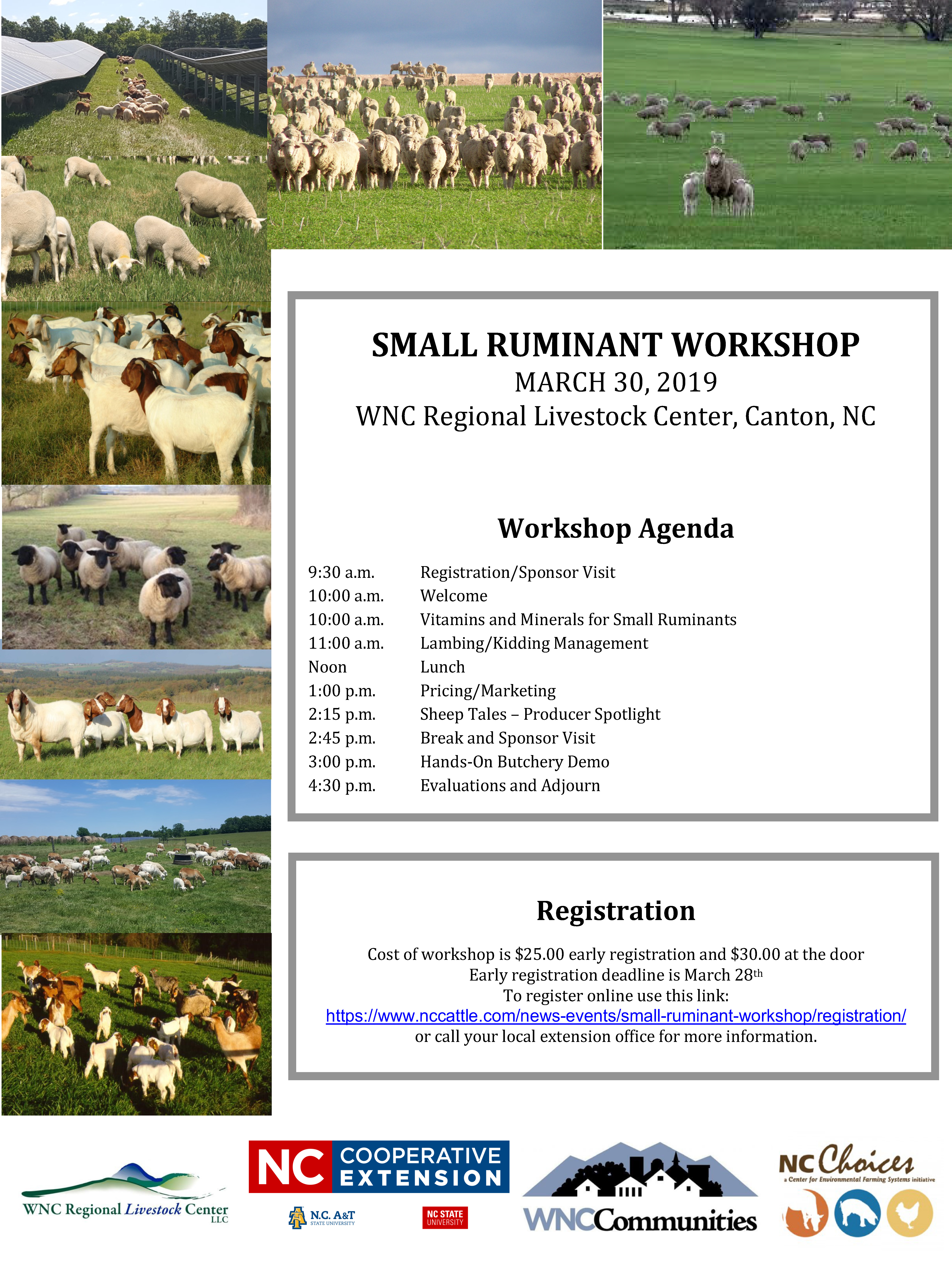 Small ruminant workshop flyer