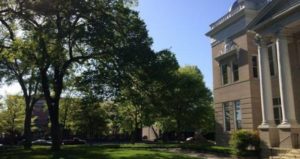 Cover photo for Tree Canopy Walking Tour in Uptown Shelby