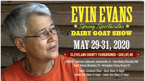 Dairy Goat Show flyer image