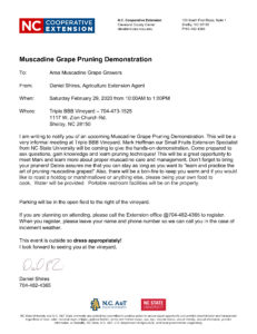 Cover photo for Grape Pruning Workshop