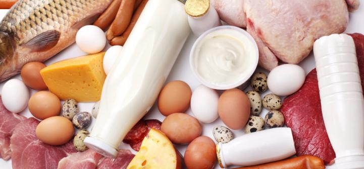 sources of protein (milk, dairy, meat, fish, poultry)