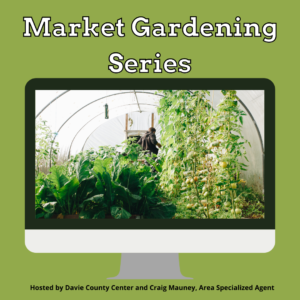 Green background with computer monitor clipart with an image of a person in a garden area with lettuce and tomatoes in the foreground.