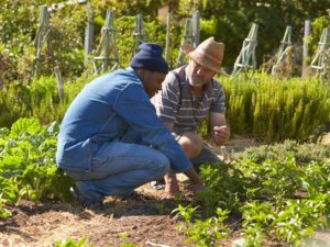 Cover photo for Tired of Gardening Misinformation?