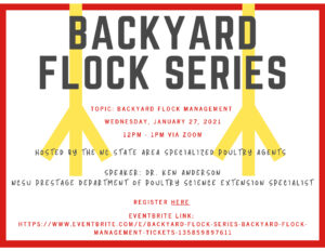 Cover photo for Backyard Flock Series - Backyard Flock Management