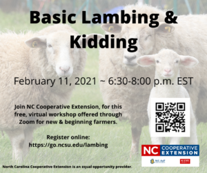 Cover photo for Sheep Genomics Webinar Series