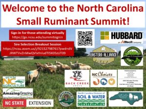 Cover photo for 2021 North Carolina Small Ruminant Summit Proceedings