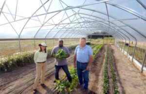 Paige Burns (left), pictured with Davon Goodwin and David Clark in a high tunnel at the Sandhills AgInnovation Center.
