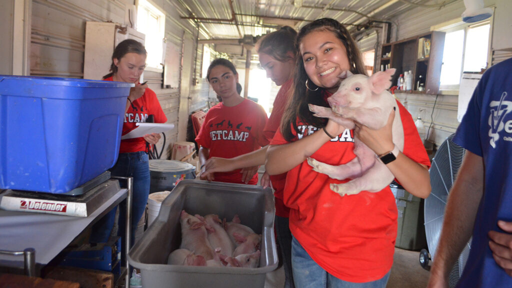 A group of teenagers in Vetcamp shirts. One is holding a piglet.