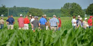 Cover photo for Local Research Benefits Grain Farmers