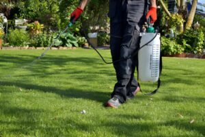 Cover photo for Pesticide Recertification Classes Coming Soon