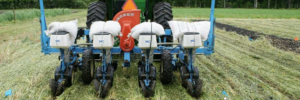 Cover photo for Extension Workshop: “Success With Growing Cover Crops”