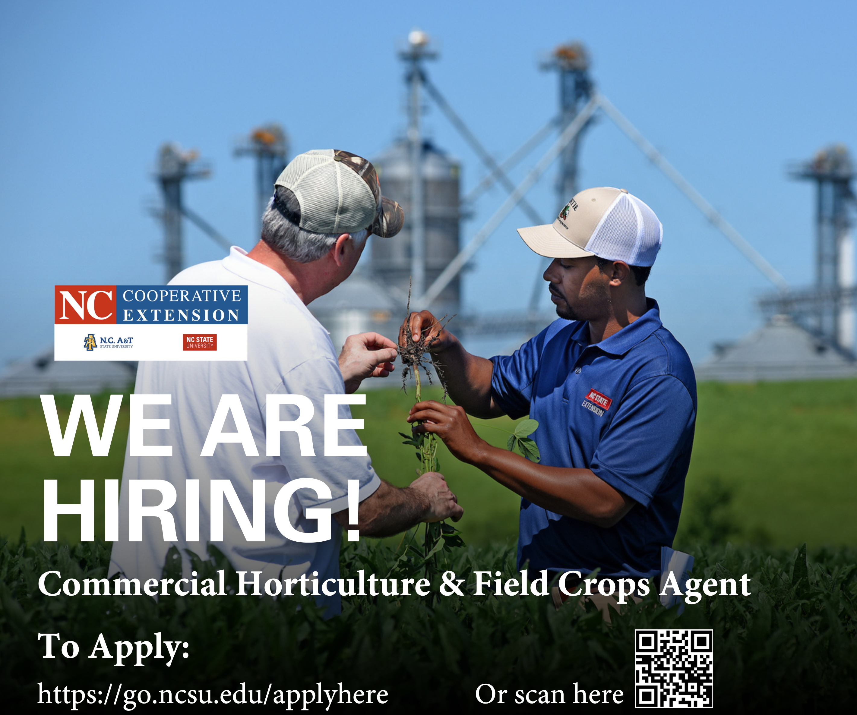 We are hiring!